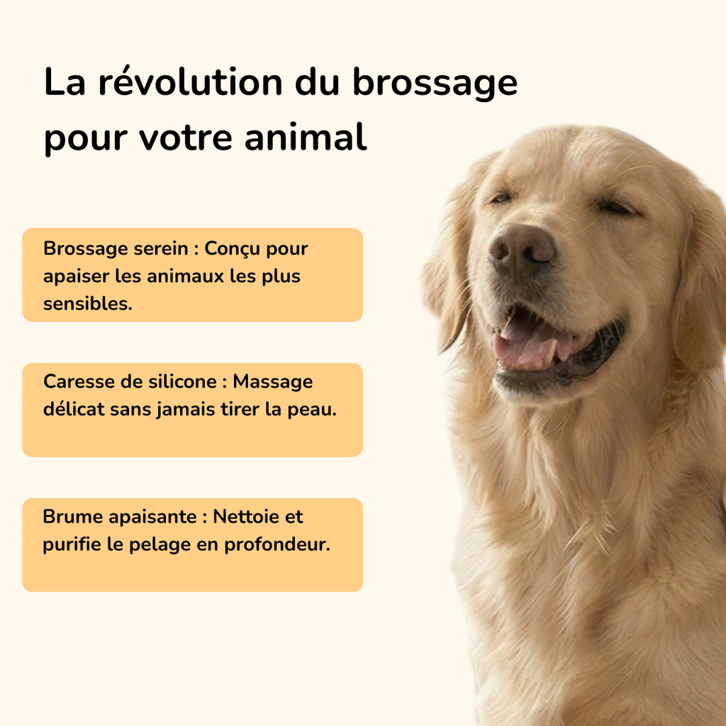 Brosse vapeur démêlante & massante