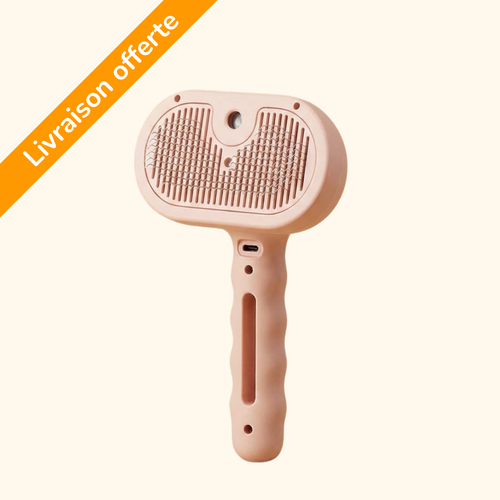 Brosse vapeur démêlante & massante