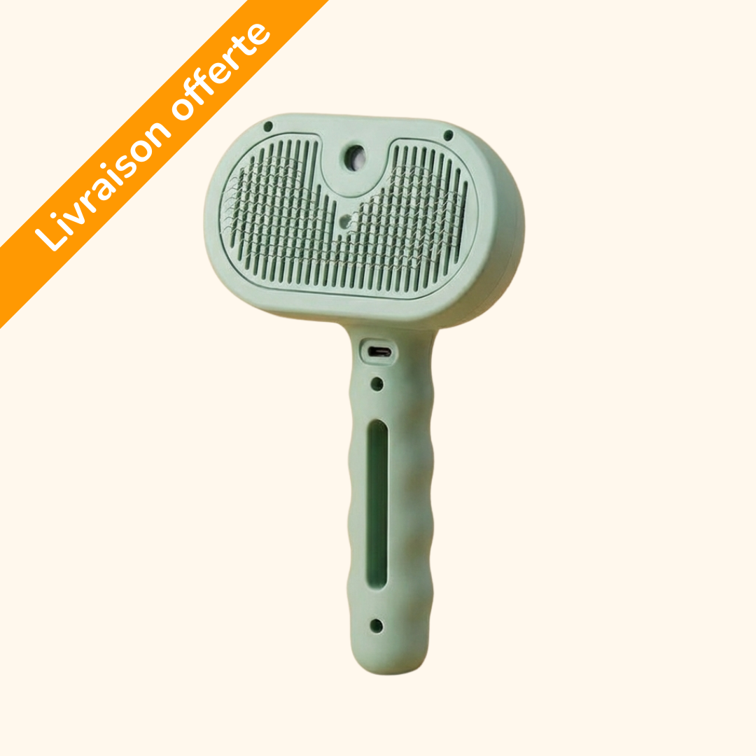 Brosse vapeur démêlante & massante