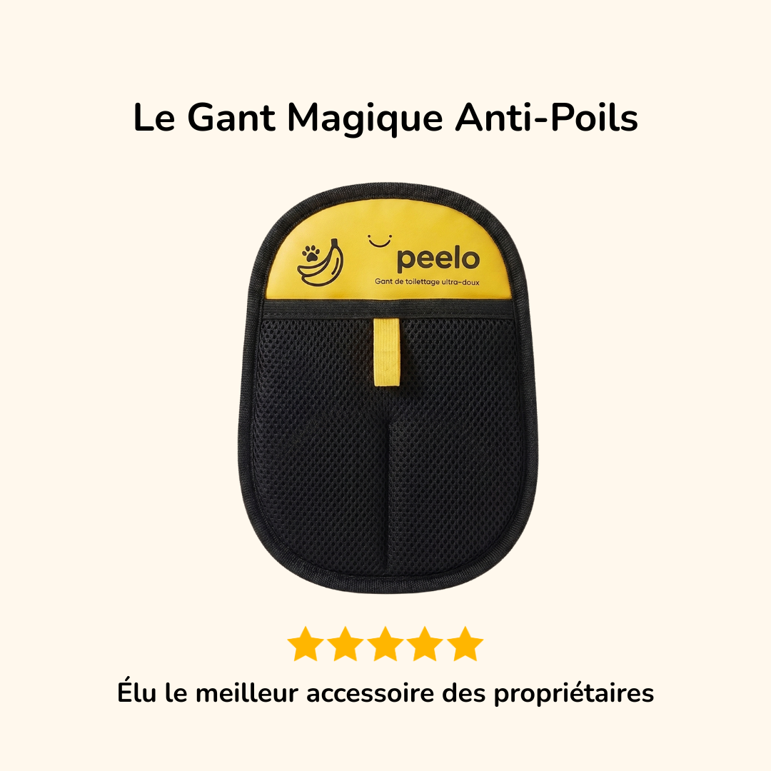 Le Gant Magique Anti-Poils
