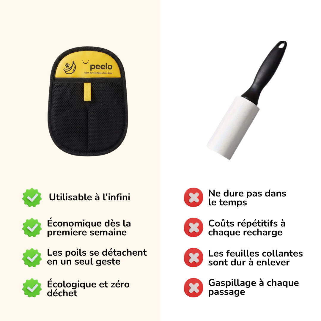 Le Gant Magique Anti-Poils