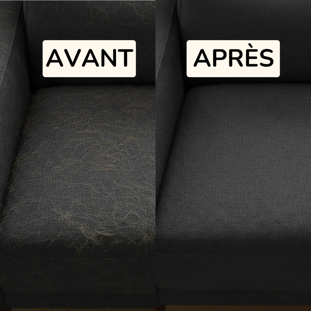 Le Gant Magique Anti-Poils