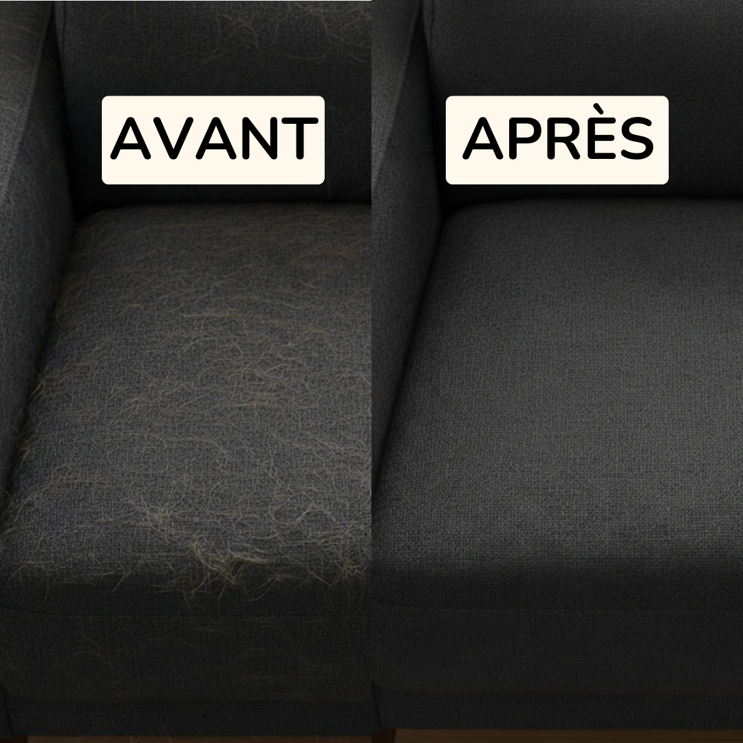 Le Gant Magique Anti-Poils
