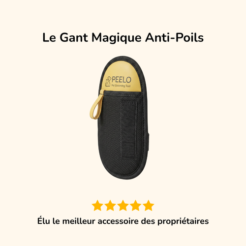 Le Gant Magique Anti-Poils