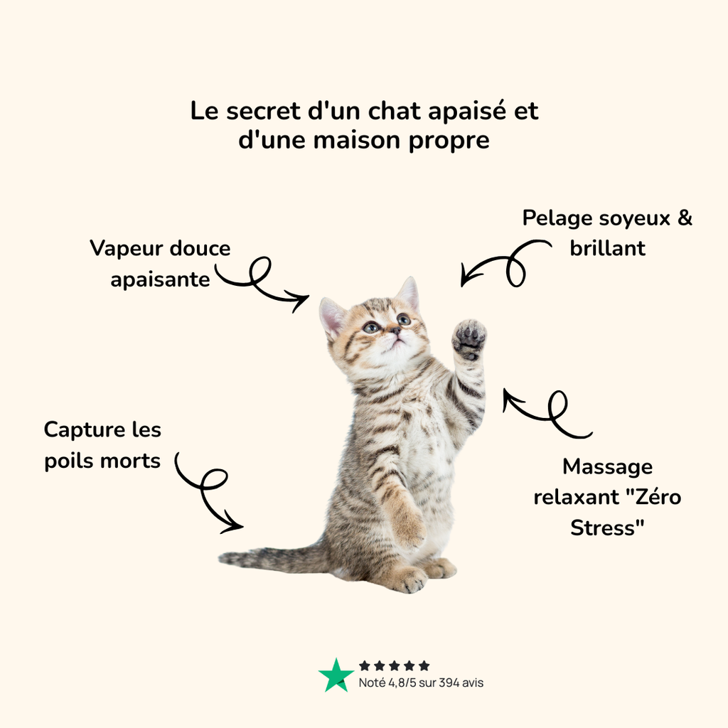 Brosse vapeur démêlante & massante pour chat