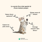 Brosse vapeur démêlante & massante pour chat