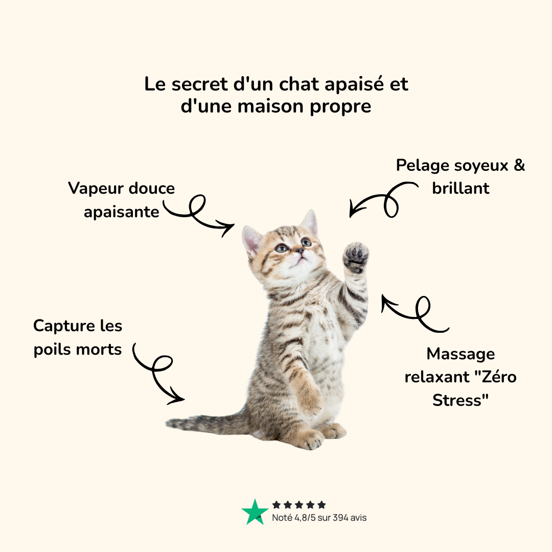 Brosse vapeur démêlante & massante pour chat