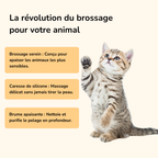 Brosse vapeur démêlante & massante pour chat