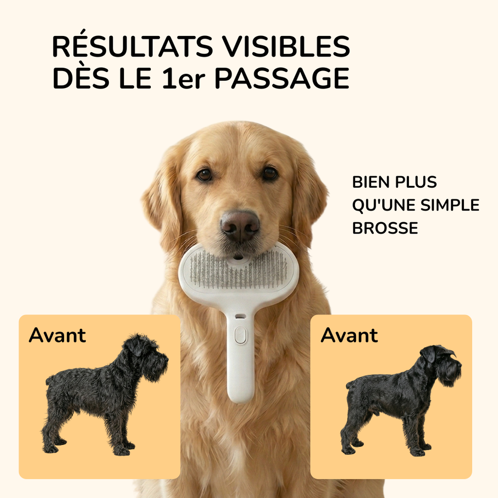 Brosse vapeur démêlante & massante