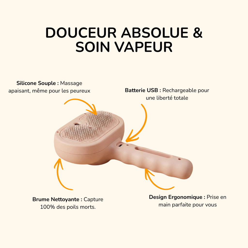 Brosse vapeur démêlante & massante